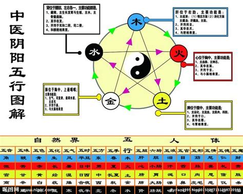 中醫陰陽五行學說|第9講第一章 第二節 陰陽學說 五行學說